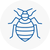 Bed Bug Extermination In Dollis Hill