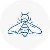 Bee Nest Removal Dollis Hill