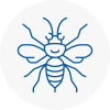 Dollis Hill Hornet Nest Removals