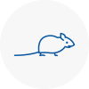 Mice Exterminators In Dollis Hill