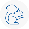 Dollis Hill Rodent Removals